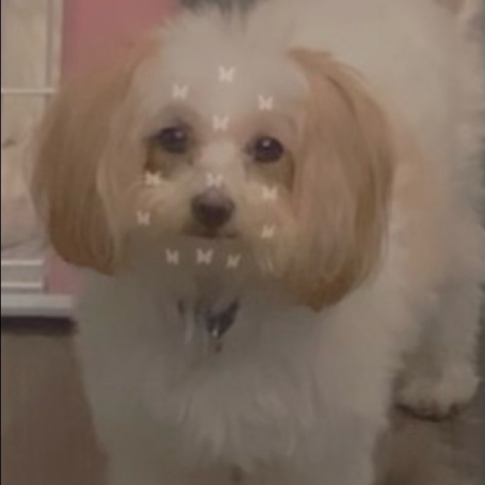 Meet your Posher, Lekesha